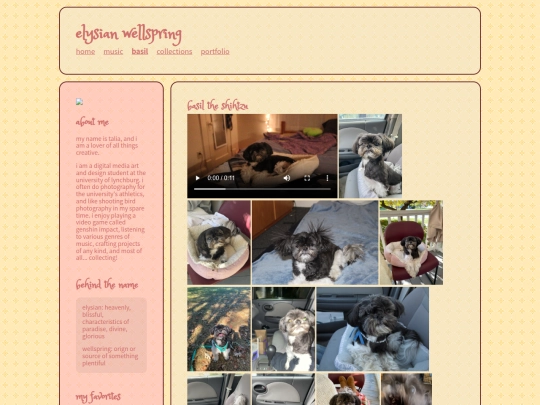 newbasiltab screenshot