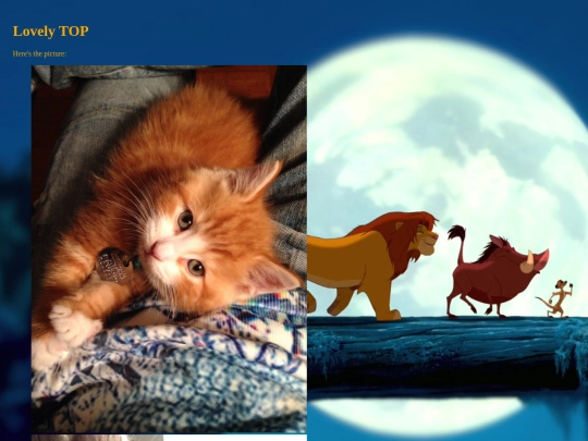 Catspicture screenshot