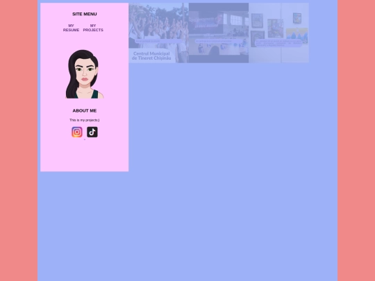 projects screenshot