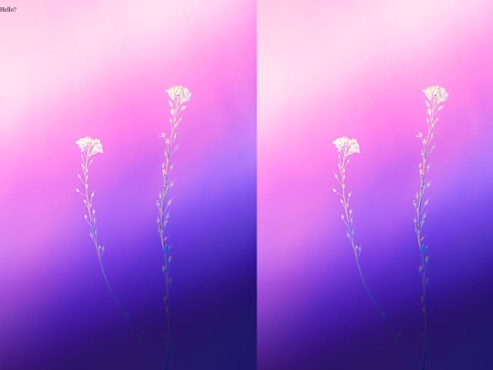 dreamdiary screenshot