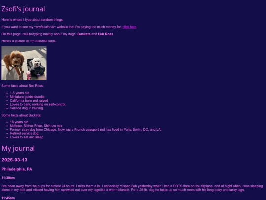 journal screenshot