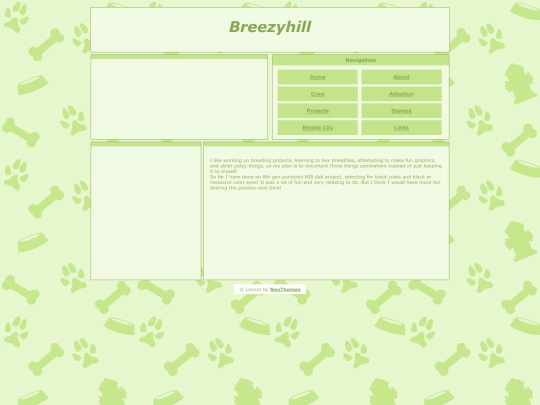 projects screenshot