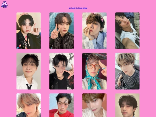 biases screenshot