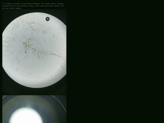 microscope screenshot