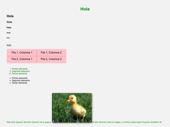 ejemplo screenshot