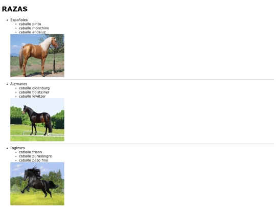 caballos/razasdecaballo screenshot