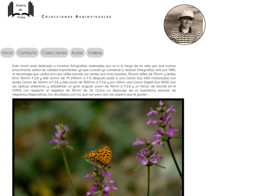 responsive.html/inicio screenshot