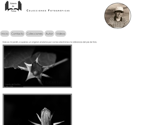 responsive.html/primera screenshot