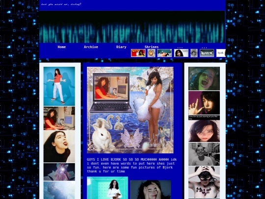 bjork screenshot