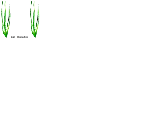 layout/footer screenshot