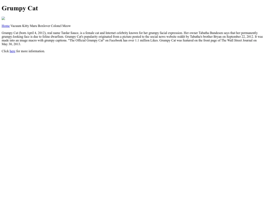 CCSF/SoberanoS_InternetCats/grumpy screenshot