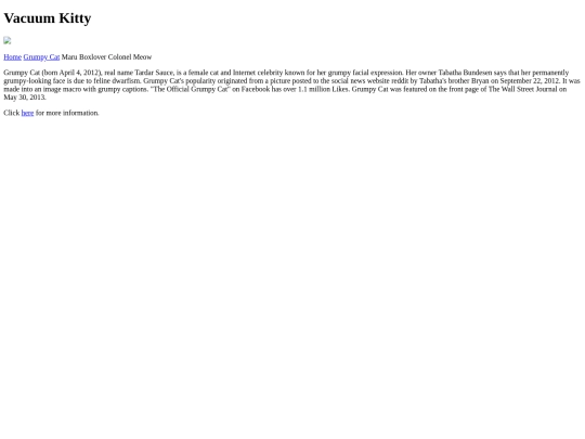 CCSF/SoberanoS_InternetCats/vacuum screenshot