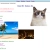 tacksoo.neocities.org avatar