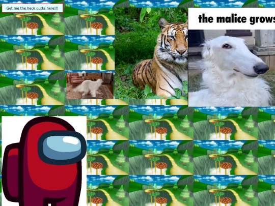 Gather my 8 pages/Walloffungus screenshot
