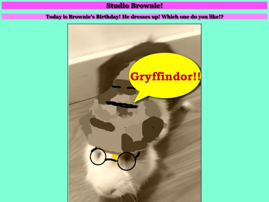 brownie screenshot