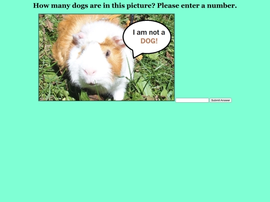 quiz1 screenshot