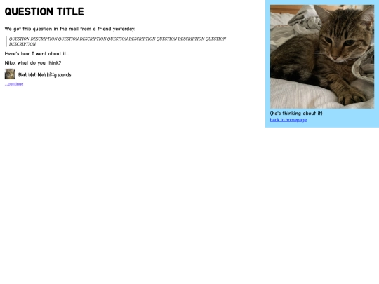 questions/template screenshot