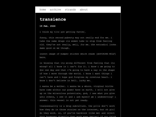 posts/2026-02-19-transience screenshot