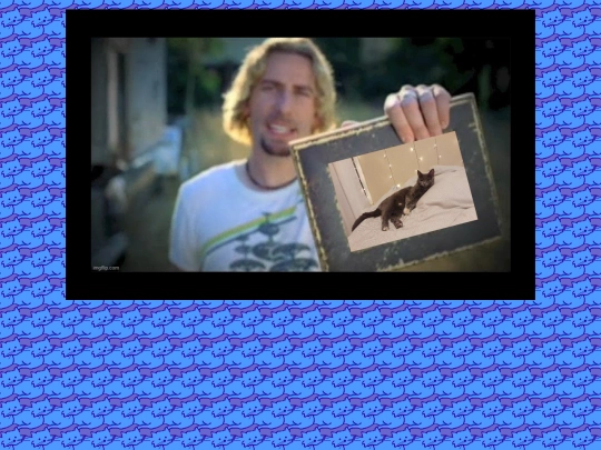 lookatthiscat screenshot