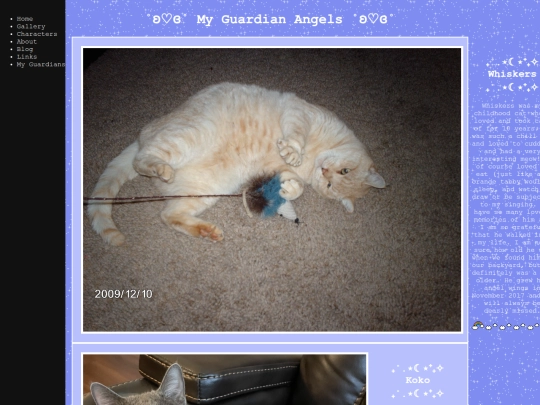 mycats screenshot