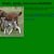 Goat Farm avatar