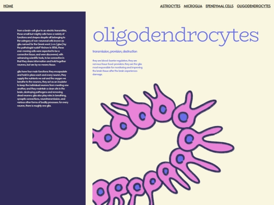p1/oligodendrocyte screenshot
