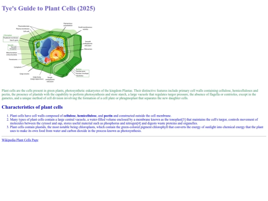 ws1 screenshot