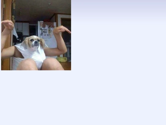 cursed screenshot