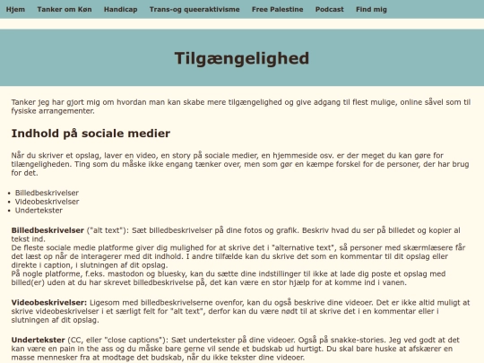 Handicap/adgang screenshot