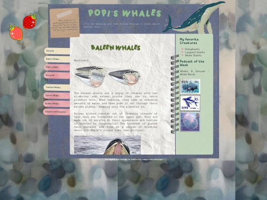 whales/baleen screenshot