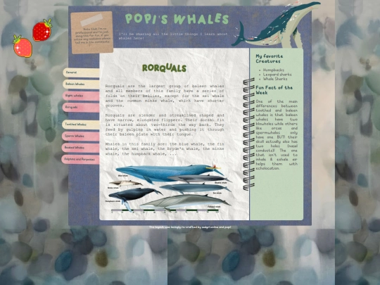 whales/rorquals screenshot