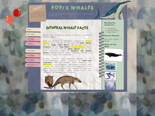 whales/whales screenshot