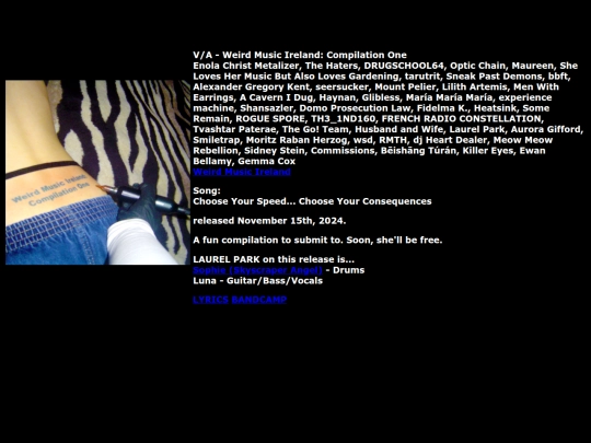 weirdmusicirelandcompone screenshot