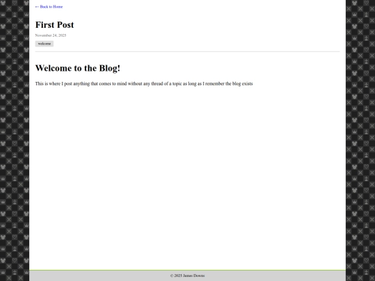 blog/first-post screenshot