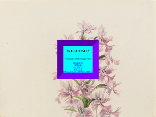 site screenshot