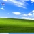 The web site of thebudgieweirdos avatar