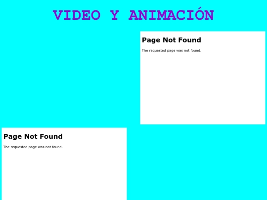 VIDEO Y ANIMACI screenshot