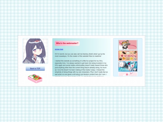 webmaster screenshot