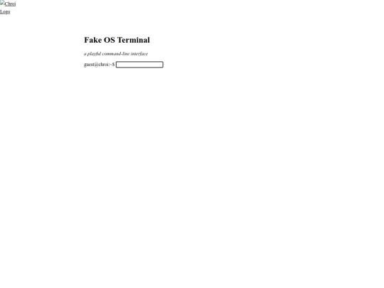 terminal screenshot