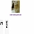 Text alignment avatar