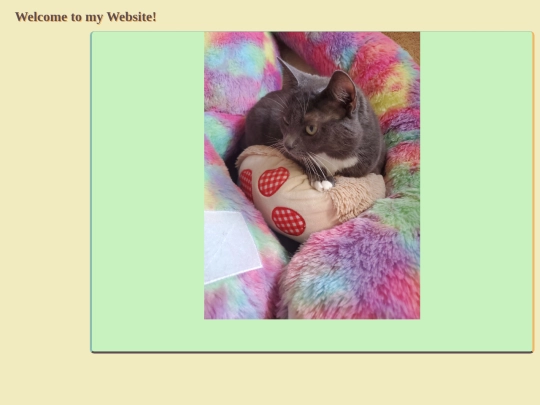 kittycorner screenshot
