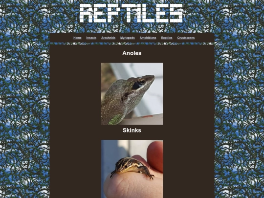 wildlife/reptileshub screenshot