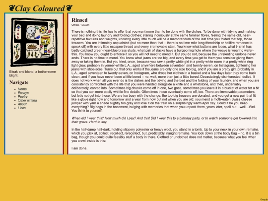 Essays/essays_rinsed screenshot