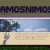 Amos Nimos avatar
