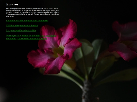 ENSAYOS screenshot