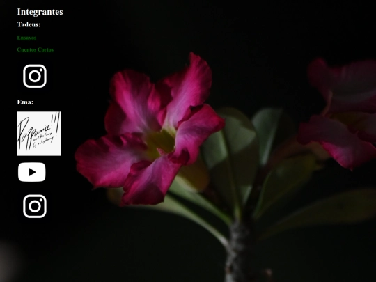integrantes screenshot