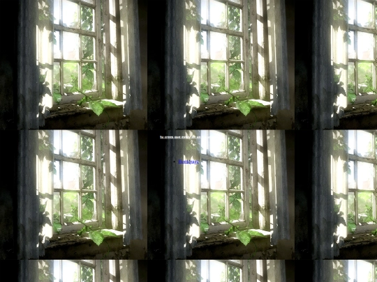 blog/a screenshot