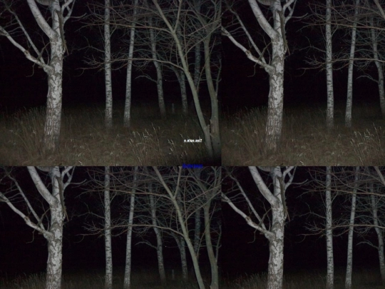 blog/d screenshot