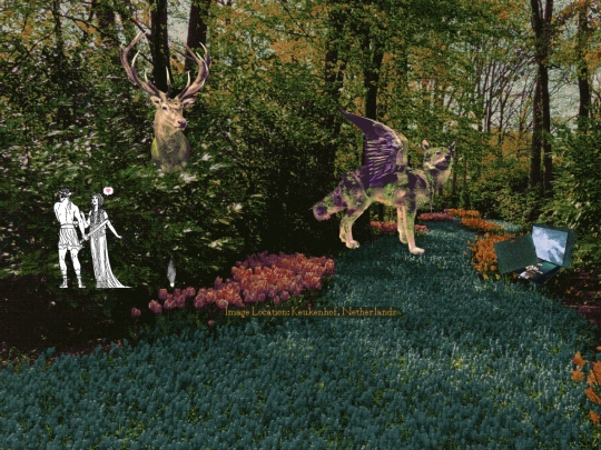 creations screenshot