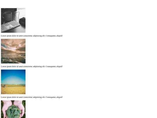 sample image gallery/basics screenshot